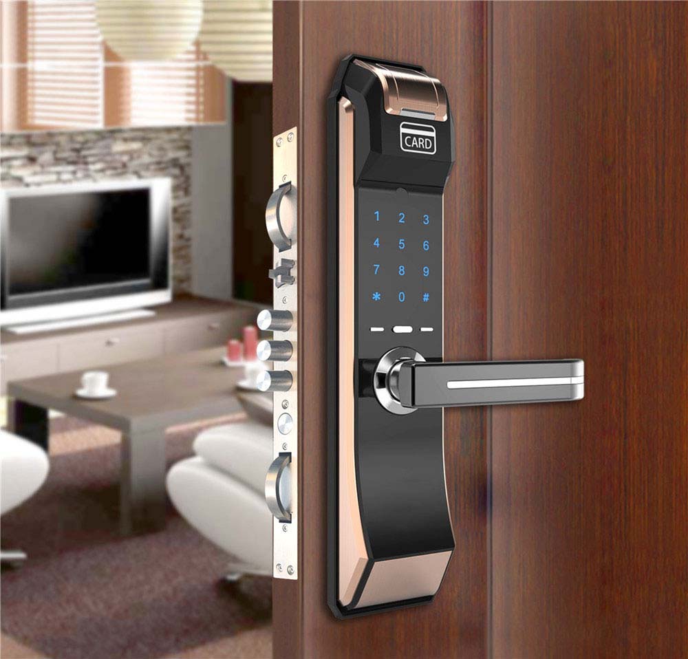 C6 Antique Brass Intelligent smart fingerprint card password door locks