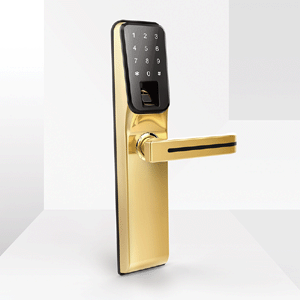 Intelligent Smart Fingerprint Password Door Locks